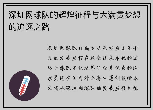 深圳网球队的辉煌征程与大满贯梦想的追逐之路